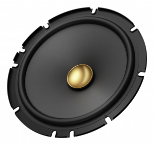 Pioneer TS-A1608C